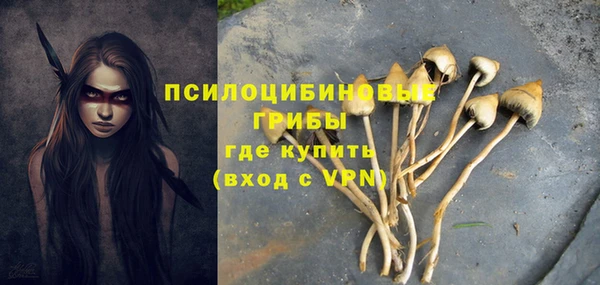 каннабис Алексеевка