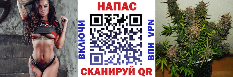 Каннабис конопля Апшеронск